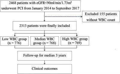 Prognostic impact of white blood cell counts on clinical outcomes in patients with chronic renal insufficiency undergoing percutaneous coronary intervention
